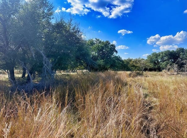 Legacy Oaks Dr lot: 22, Harper, TX 78631