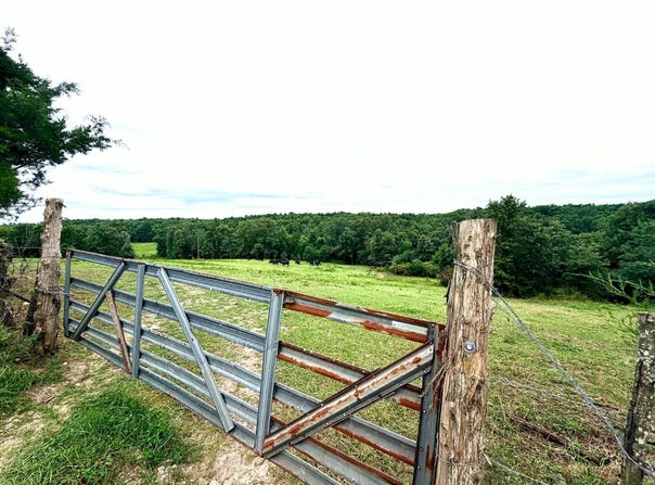 County Road 585, Winona, MO 65588