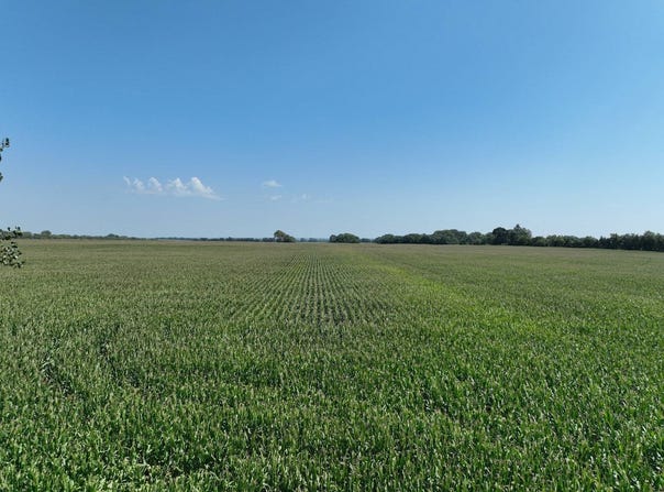833 Rd, Stanton, NE 68779