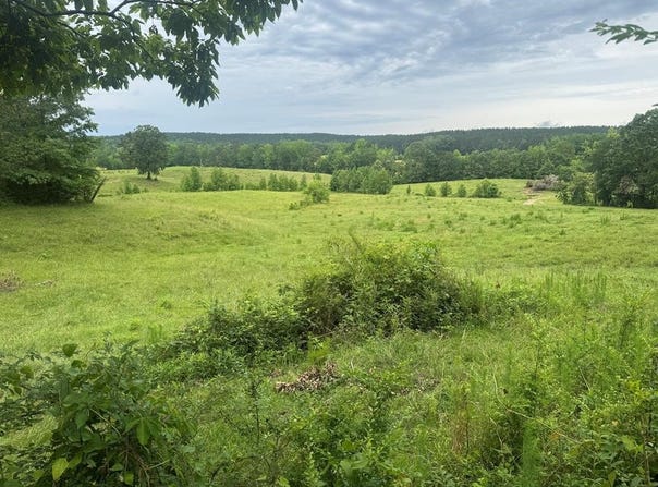 County Road 430, PARIS, MS 38949