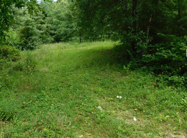4286 SE 871 Road, Collins, MO 64738