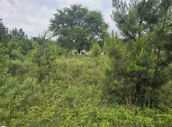 348 Dillon Drive, Clinton, SC 29325