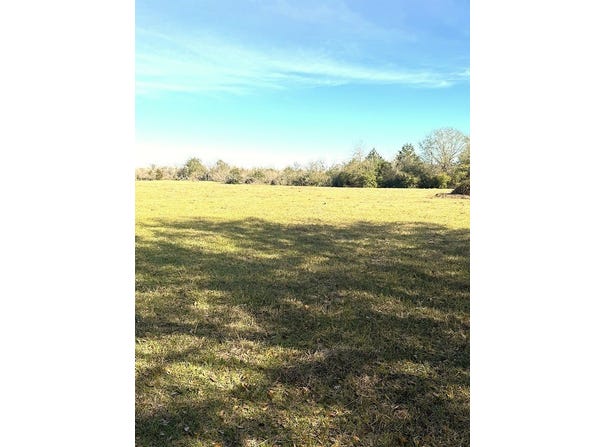 1391 County Road 331, Lexington, TX 78947
