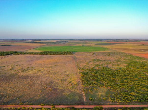 CR 146, Rule, TX 79547