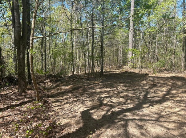 99 COUNTY ROAD 53, Double Springs, AL 35553