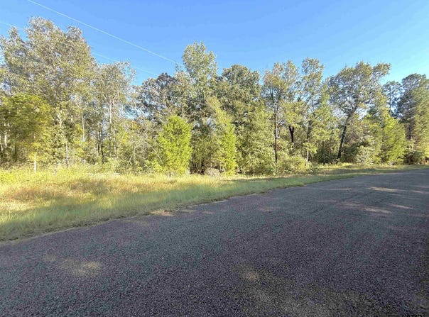 TBD Tr 6G CR 4606, Troup, TX 75789