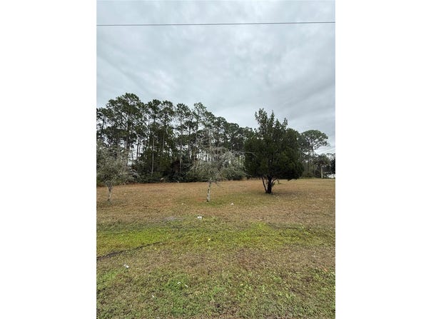 245 ULLIAN Trail, PALM COAST, FL 32164