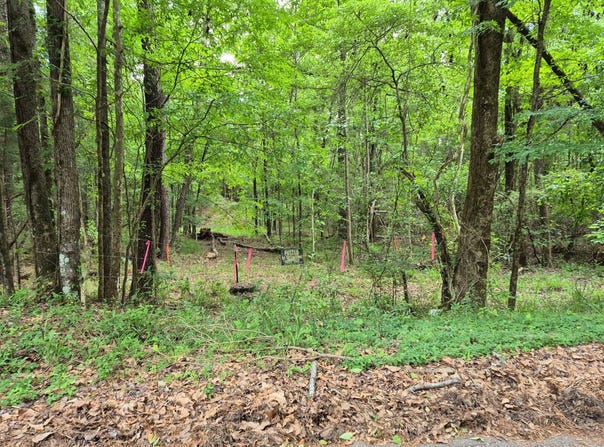 Dale Dr, Jackson, AL 36545
