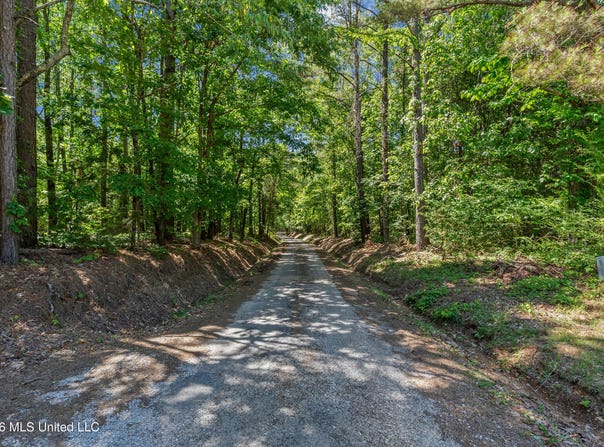 202 Powell Chapel Road, Holly Springs, MS 38635
