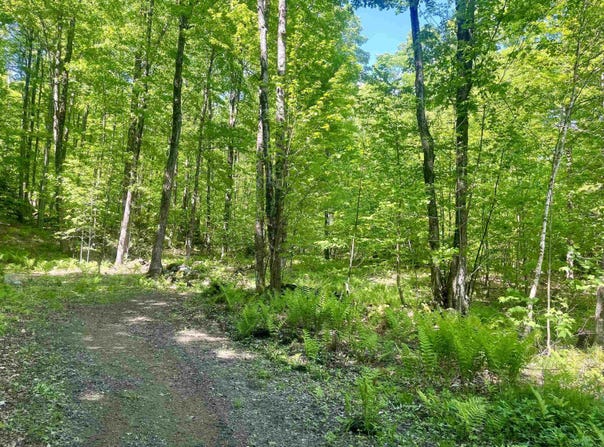 220 Middle Road, Chittenden, VT 05763