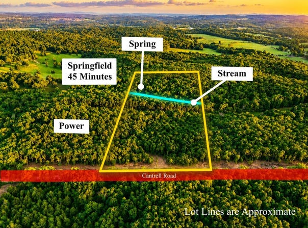 005 Cantrell Road, Mansfield, MO 65704