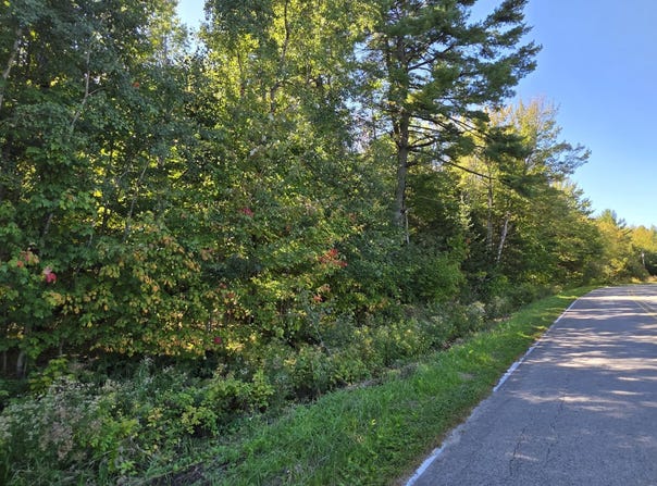 E NorthShore Dr, Sugar Island, MI 49783