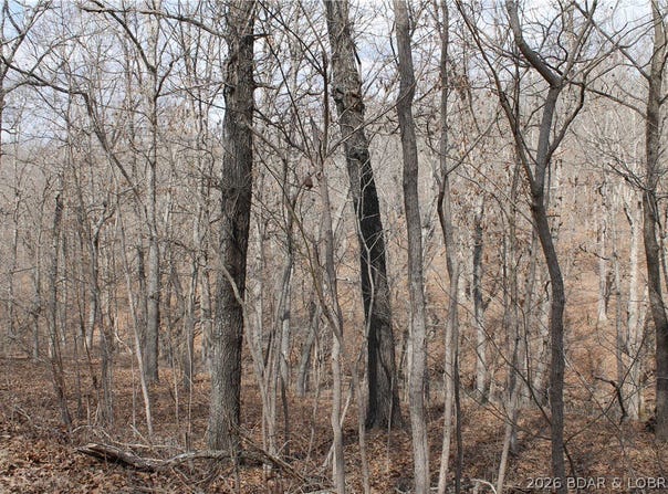 Tim Road, Edwards, MO 65326