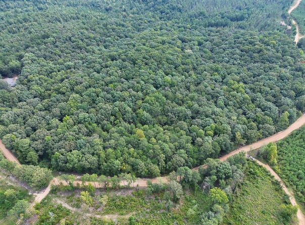 OAK RIDGE Rd, Fayette, AL 35555