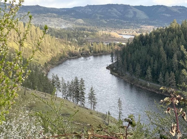 310 Cougar Road, Kamiah, ID 83536