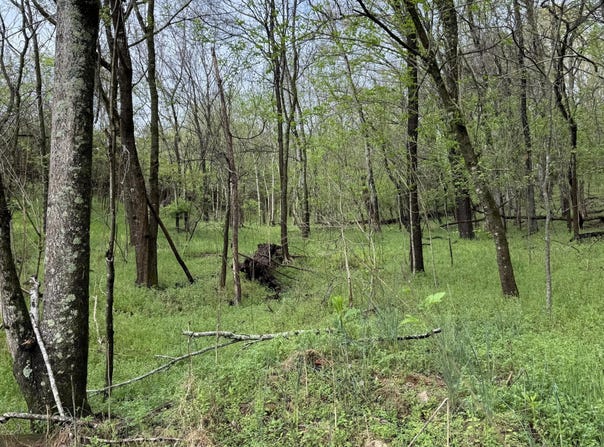 Mary Lane, Rutledge, TN 37861
