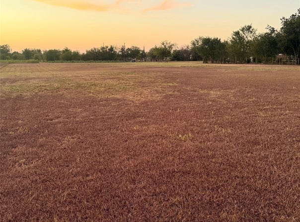 2206 Sandra Ln, Webberville, TX 78653