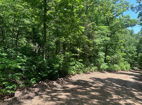 Hwy 74 W, Jasper, AR 72641