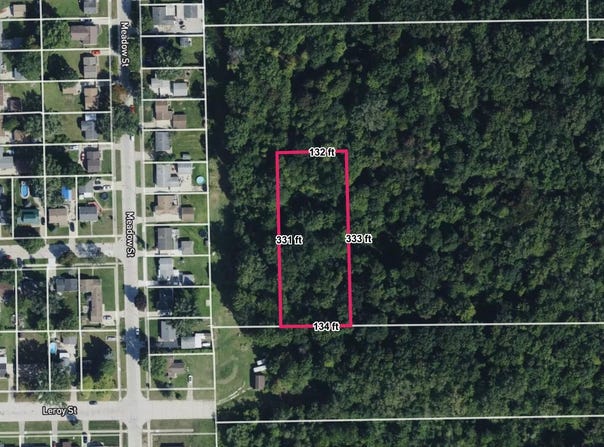Inkster Road, Romulus, MI 48174