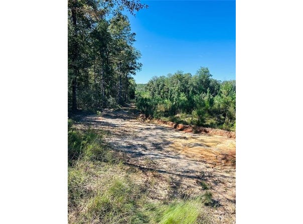 Gulfcrest Road, Chunchula, AL 36521