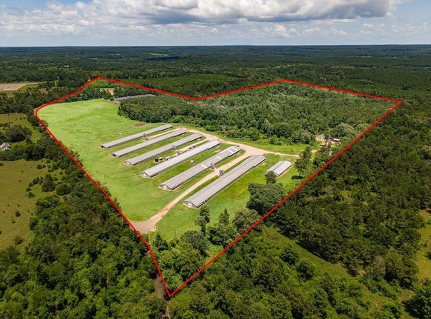 6080 CR 203, San Augustine, TX 75972