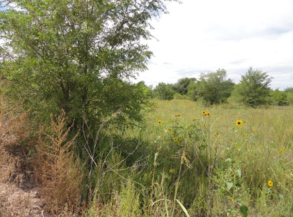 Molina Road, Peralta, NM 87042