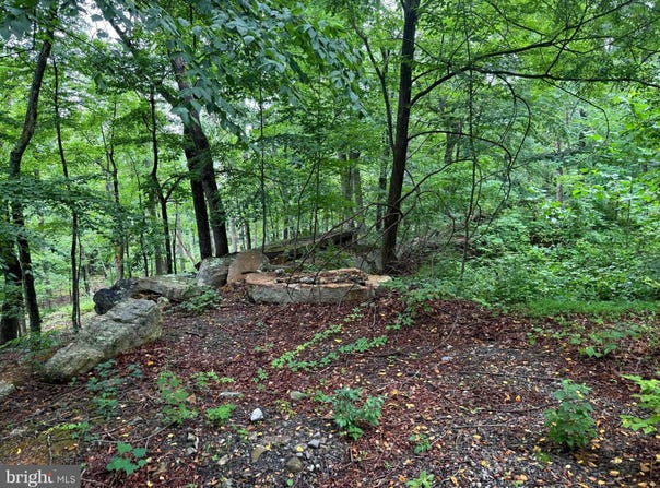 TR D-15 DEER PATH Road, AUGUSTA, WV 26704