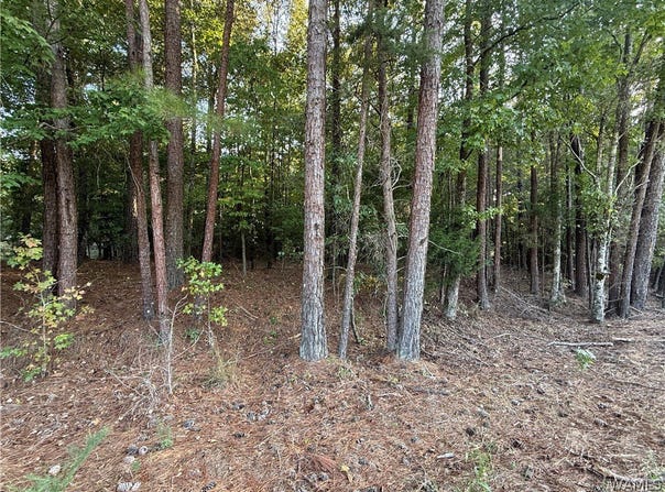 15149 Wire Rd, Cottondale, AL 35453
