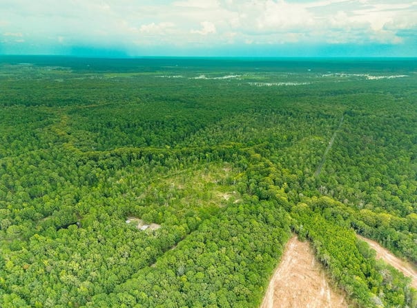 Dollar Junction Road, Huttig, AR 71747