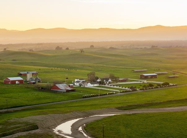 17775 Long Hollow Road, Corning, CA 96021
