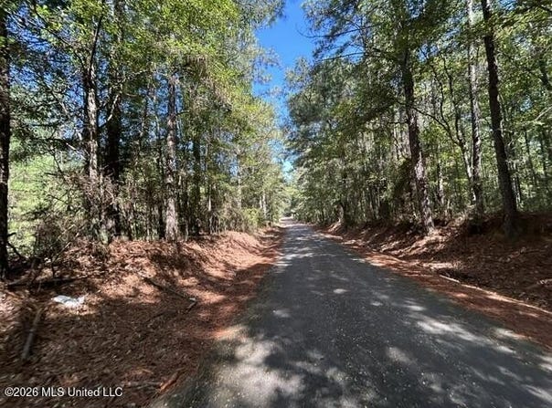 Irene Road, Summit, MS 39666