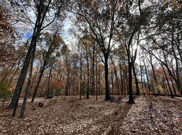County Rd 308, Forrest City, AR 72335