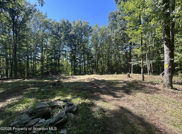 262 Victory Lane, Dalton, PA 18414
