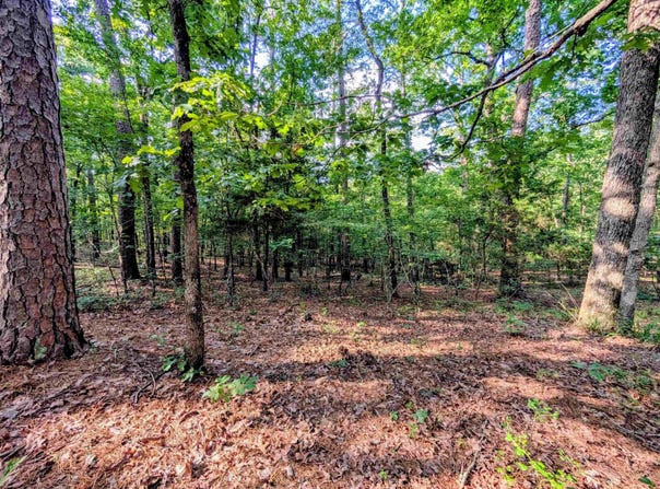 198 Cathedral Pines, Mena, AR 71953