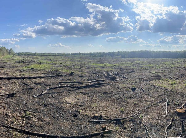 GENTRY RD, Star City, AR 71667