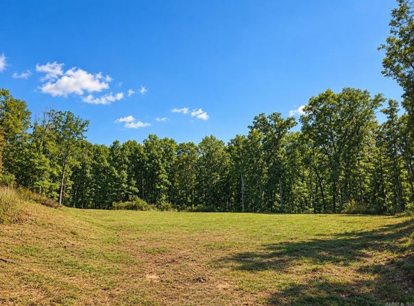 Diamond Bluff Road, Quitman, AR 72131