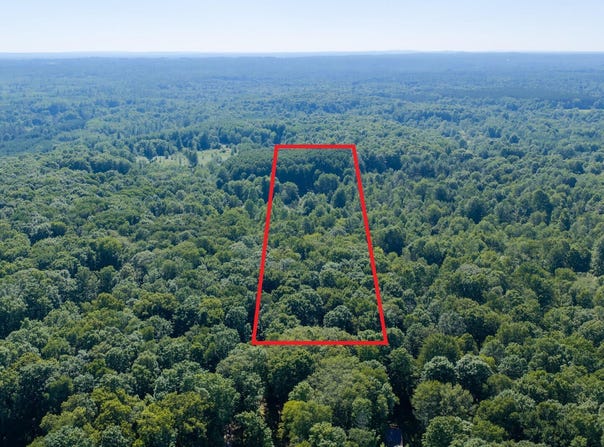 36 N Coe Road, Luther, MI 49656