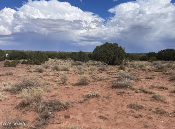 4317 Indian Bend Road, Snowflake, AZ 85937