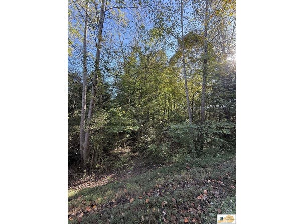 Siddens Road lot: 38, Glasgow, KY 42141