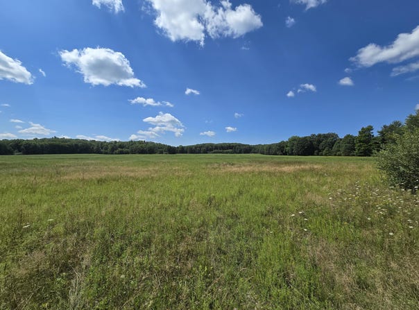 VL Leckrone Road, Brethren, MI 49619