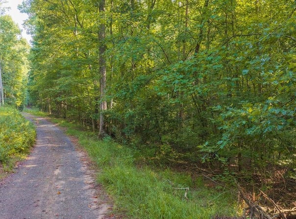 Wildwood Trail, Talking Rock, GA 30175