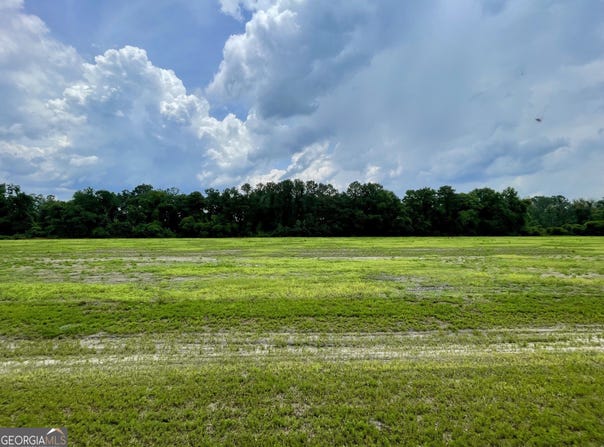 84 Weller's Way, Brooklet, GA 30415