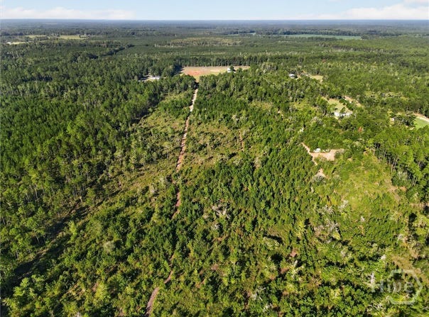 4858 Ga Highway 17 N, Guyton, GA 31312