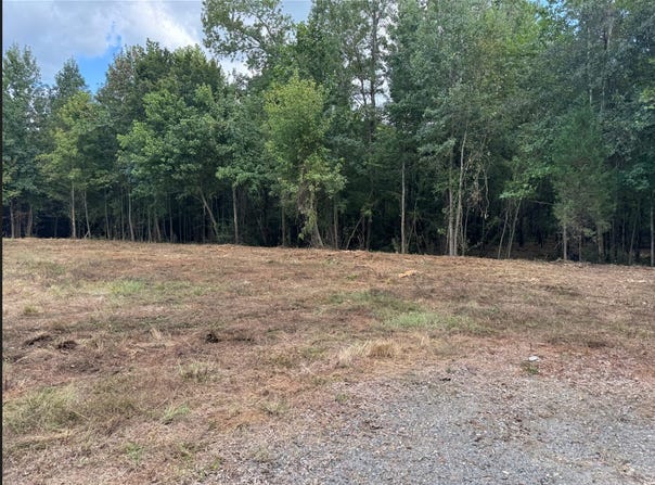 Hwy 172, Keatchie, LA 71046