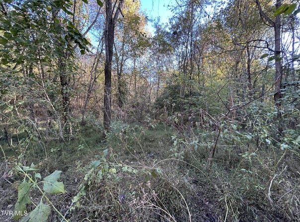 Deerfoot Lane, Greeneville, TN 37743