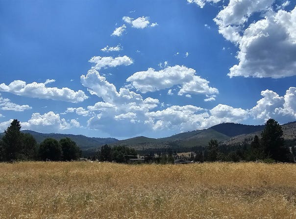 123 Smithneck Road, Loyalton, CA 96118