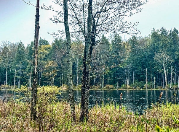 Johnson Rd lot: 9, Becket, MA 01223