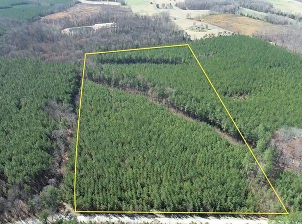 1 MAPLE BRIDGE RD, DILLWYN, VA 23936