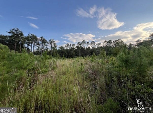 Bedsole Road, Eastman, GA 31023