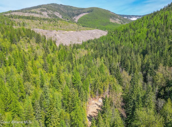 NKA Cross Mountain Rd, Sandpoint, ID 83864